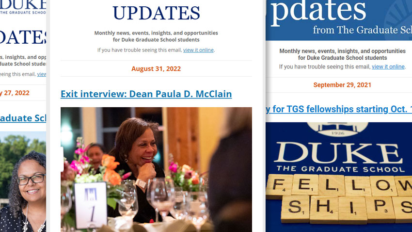 Screenshot of newsletters