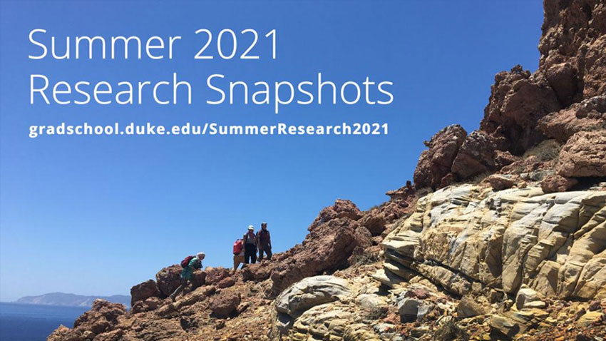 Summer Research Fellowships roundup cover image